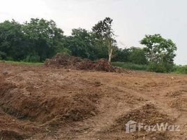  Terreno (Parcela) en venta en Prachin Buri, Nong Phrong, Si Maha Phot, Prachin Buri