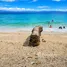  Grundstück zu verkaufen in Samboan, Central Visayas, Samboan, Cebu, Central Visayas