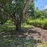  Terreno (Parcela) en venta en Costa Rica, Orotina, Alajuela, Costa Rica