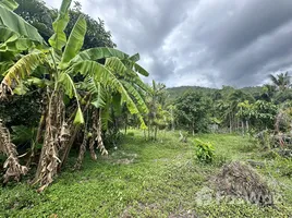  Land for sale in Taling Ngam, Surat Thani, Taling Ngam, Koh Samui