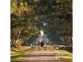  Terrain for sale in Argentine, Canuelas, Buenos Aires, Argentine