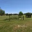  Terreno (Parcela) en venta en Tigre - Gran Bs. As. Norte, Gobernador Dupuy, San Luis, Argentina