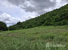  Grundstück zu verkaufen in Pran Buri, Prachuap Khiri Khan, Pak Nam Pran