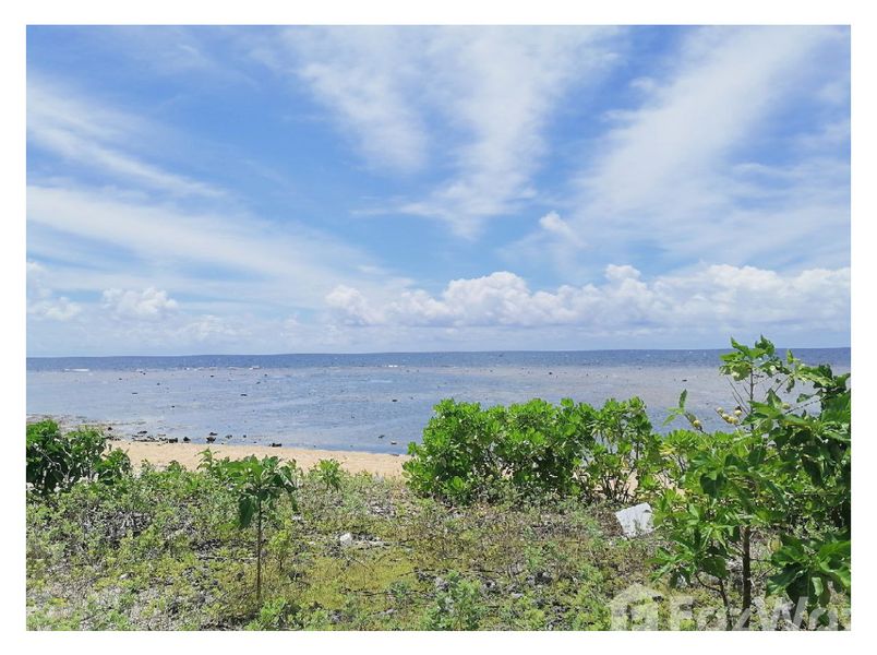 Land with Beachfront for Sale in Pangasinan, Ilocos