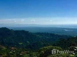  Terrain for sale in Osa, Puntarenas, Osa