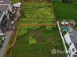  Grundstück zu verkaufen in Tabanan, Bali, Tabanan, Bali, Indonesien