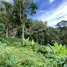  Terrain for sale in Kata Beach, Karon, Karon