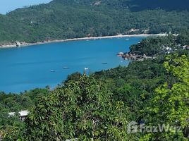 ขายที่ดิน ใน บ้านใต้, สุราษฎร์ธานี, บ้านใต้, เกาะพะงัน, สุราษฎร์ธานี