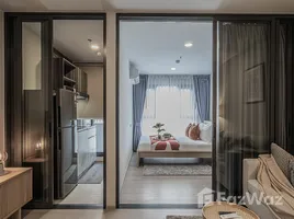 อพาร์ทเม้นท์ 1 ห้องนอน ให้เช่า ในโครงการ แอสปาย อ่อนนุช สเตชั่น, พระโขนง, คลองเตย, กรุงเทพมหานคร, ไทย