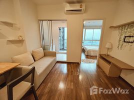 1 Bedroom Condo for rent at U Delight Ratchavibha, Lat Yao, Chatuchak, Bangkok, Thailand