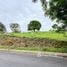  Terreno (Parcela) en venta en Grecia, Alajuela, Grecia
