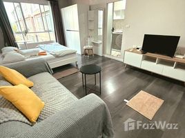 คอนโด 1 ห้องนอน ให้เช่า ในโครงการ ดีคอนโด แคมปัส รีสอร์ท กู้กู ภูเก็ต, รัษฎา