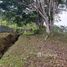 Terrain à vendre à Turrialba, Cartago, Turrialba