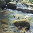  Land for sale in Costa Rica, Perez Zeledon, San Jose, Costa Rica