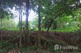  bedroom Land for sale at in Calabarzon, Philippines
