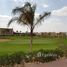 5 침실 Allegria에서 판매하는 빌라, Sheikh Zayed Compounds, 셰이크 자이드시