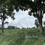  Land for sale in Mueang Khon Kaen, Khon Kaen, Khok Si, Mueang Khon Kaen