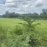  Terrain for sale in Pathum Thani, Khu Khwang, Lat Lum Kaeo, Pathum Thani