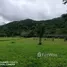  Land for sale in Chiang Mai, Inthakhin, Mae Taeng, Chiang Mai