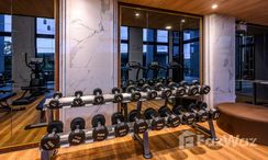 Photos 2 of the Communal Gym at The Panora Phuket At Loch Palm Garden Villas