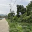  Land for sale in Phaya Yen, Nakhon Ratchasima, Phaya Yen, Pak Chong