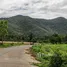 Земельный участок for sale in Mae Pong, Чианг Маи, Mae Pong, Дои Сакет