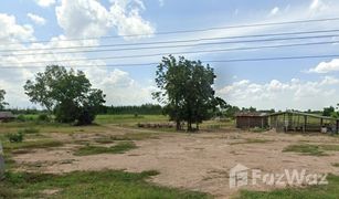 N/A Grundstück zu verkaufen in Nong Ya Sai, Suphan Buri 