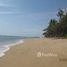  Land for sale in Krabi, Sala Dan, Ko Lanta, Krabi