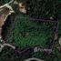  Land for sale in Thalang, Phuket, Choeng Thale, Thalang