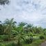  Land for sale in Thailand, Khok Kloi, Takua Thung, Phangnga, Thailand