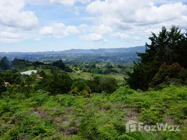 アンティオキア で売却中 土地区画, Rionegro, アンティオキア