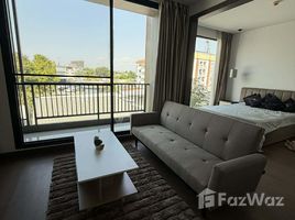 คอนโด 1 ห้องนอน ให้เช่า ในโครงการ ดิ เอ๊จท์ คอนโดมีเนียม, ช้างเผือก