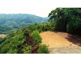  Land for sale in Perez Zeledon, San Jose, Perez Zeledon