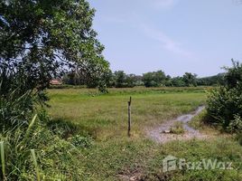普吉 晟泰雷 Nice Plot Land 16 Rai for Sale in Choeng Thale N/A 土地 售 