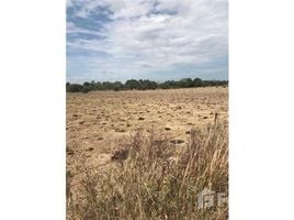  Land for sale in Pilar, Buenos Aires, Pilar