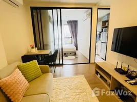 อพาร์ทเม้นท์ 1 ห้องนอน ให้เช่า ในโครงการ ดีคอนโด รีฟ ภูเก็ต, กะทู้, กะทู้, ภูเก็ต