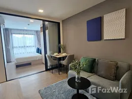 1 Bedroom Condo for rent at THE BASE Bukit, Wichit, Phuket Town, Phuket, Thailand