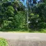 ขายที่ดิน ใน ป่าคลอก, ภูเก็ต, ป่าคลอก, ถลาง