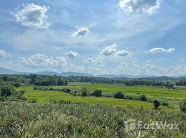 ขายที่ดิน ใน ป่าซาง, เชียงราย, ป่าซาง, แม่จัน