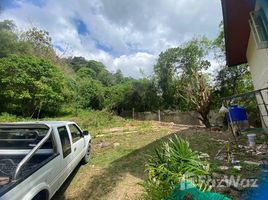  Terreno (Parcela) en venta en Kamala, Kathu, Kamala