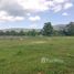  Land for sale in Chiang Mai, On Nuea, Mae On, Chiang Mai