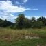  Land for sale in Aguirre, Puntarenas, Aguirre