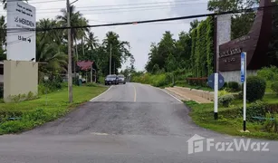 N/A Grundstück zu verkaufen in Bang Muang, Phangnga 