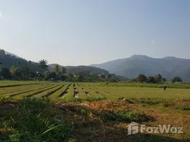  Grundstück zu verkaufen in Mae Wang, Chiang Mai, Thung Pi, Mae Wang, Chiang Mai
