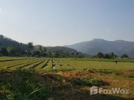 在清迈出售的 土地, Thung Pi, 湄旺, 清迈