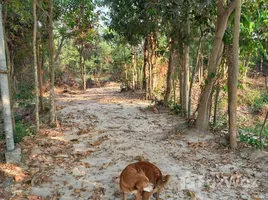 ขายที่ดิน ใน บ้านซ่อง, ฉะเชิงเทรา, บ้านซ่อง, พนมสารคาม, ฉะเชิงเทรา, ไทย