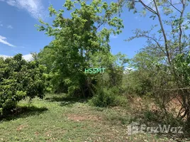  Land for sale in Lamphun, Makok, Pa Sang, Lamphun