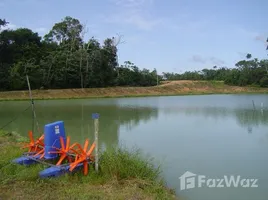  Terrain for sale in Amazonas, Itacoatiara, Amazonas