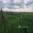  Land for sale in Bang Bua Thong, Nonthaburi, Lahan, Bang Bua Thong