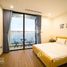 Studio Condo for rent at Roman Plaza, Van Phuc